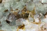 Sea-foam Green, Cubic Fluorite Crystal Cluster - Morocco #138261-2